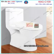 Bồn cầu 1 khối VIGLACERA C109