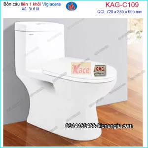 Bồn cầu 1 khối VIGLACERA C109