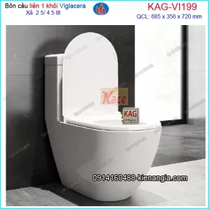 Bồn cầu 1 khối NANO VIGLACERA V199