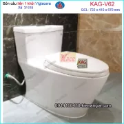 Bồn cầu liền khối nano nung Viglacera V62