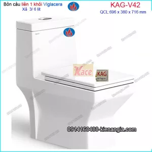 Bồn cầu vuông 1 khối nano VIGLACERA V42