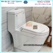 Bồn cầu 1 khối Viglacera nano nung V35M