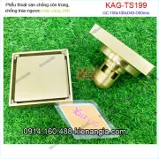 Thoát sàn màu vàng 24K chống côn trùng 10x10xd4960 KAG-TS199