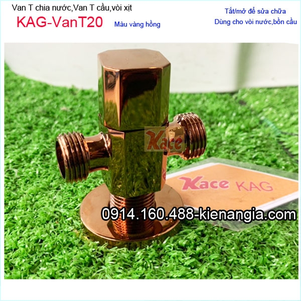 Van T màu vàng hồng KAG-VanT20