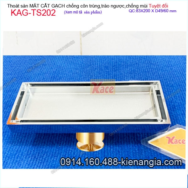 KAG-TS202-Thoat-san-dai-MAT-CAT-GACH-chong-con-trung-tuyet-doi-83X200xd4960-KAG-TS202-17