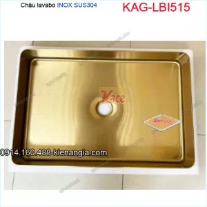 Chậu lavabo inox độc đáo KAG-LBI515