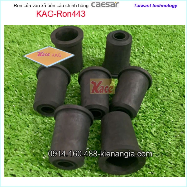 KAG-Ron443-Ron-cao-su-Van-xa-bon-cau-Caesar-KAG-Ron443-1