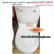 Nắp bồn cầu trẻ em BTE Viglacera chính hãng