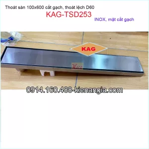 Thoát sàn dài mặt cắt gạch ống lệch 100x600xD60 KAG-TSD253