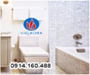 BỆT LIỀN KHỐI VIGLACERA CHÍNH HÃNG