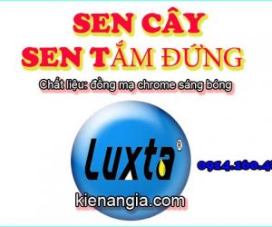 SEN CÂY,SEN TẮM ĐỨNG LUXTA-KOREA