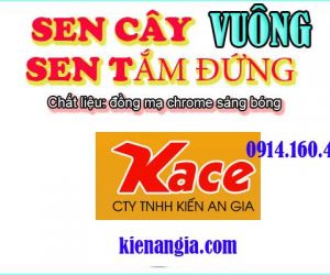 SEN VUÔNG TẮM ĐỨNG ĐẸP RẺ BỀN