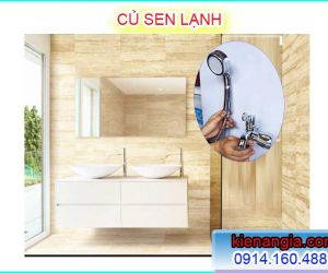 VÒI SEN LẠNH GIÁ RẺ NHÀ TẮM GIA ĐÌNH,NHÀ CHO THUÊ