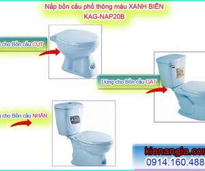 NẮP BỆT KÉT RỜI,NẮP BÀN CẦU MÀU XANH BIỂN
