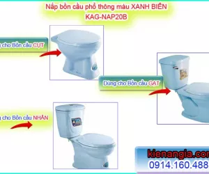 NẮP BỆT KÉT RỜI,NẮP BÀN CẦU MÀU XANH BIỂN
