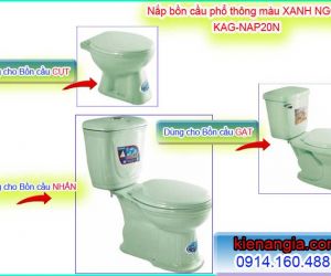 NẮP BỒN CẦU MÀU XANH NGỌC,XANH ĐỌT CHUỐI,XANH LÁ CÂY