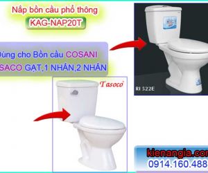 MUA Ở ĐÂU NẮP BỒN CẦU PHỔ THÔNG NAP20