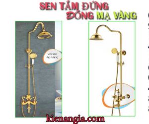 SEN TẮM ĐỨNG,SEN CÂY NÓNG LẠNH ĐỒNG MẠ VÀNG