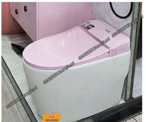 meta Bồn cầu 1 khối màu hồng trắng KAG-BCKM59