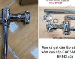 Van xả gạt cầu lắp sàn cho xí xổm cao cấp CAESAR BF521