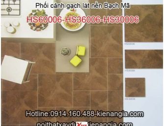 Phối cảnh gạch lát nền Bạch Mã-Bộ HS