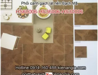 Phối cảnh gạch lát nền Bạch Mã-Bộ HS