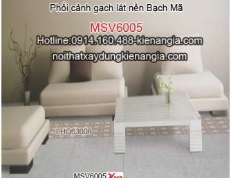 Phối cảnh gạch lát nền Bạch Mã-Bộ MSV