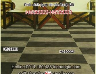 Phối cảnh gạch lát nền Bạch Mã-Bộ HS