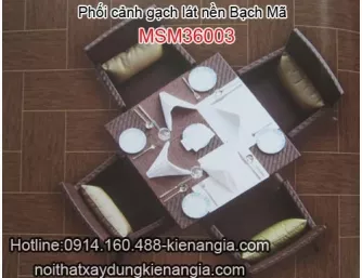 Phối cảnh gạch lát nền Bạch Mã-Bộ MSM