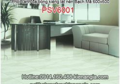 Phối cảnh gạch lát nền Bạch Mã-Bộ MSM