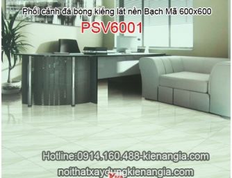 Phối cảnh gạch lát nền Bạch Mã-Bộ MSM