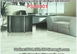 Phối cảnh gạch lát nền Bạch Mã-Bộ MSM