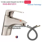 Vòi nóng lạnh chậu lavabo inox 304 BIGGO KAG-BG1231I