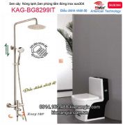 Sen cây nóng lạnh 304 inox mờ BIGGO KAG-BG8299IT