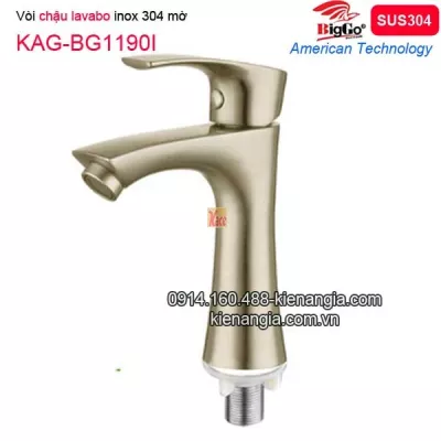 Vòi lạnh lavabo âm bàn inox 304 BIGGO KAG-BG1190I