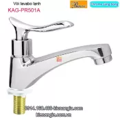 Vòi lavabo lạnh màu chrome sáng bóng Thailand-ProxiaKAG-PR501A