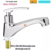 Vòi lavabo lạnh màu chrome sáng bóng Thailand-ProxiaKAG-PR502A