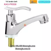 Vòi lavabo lạnh màu chrome sáng bóng Thailand-ProxiaKAG-PR508