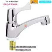 Vòi lavabo lạnh màu chrome sáng bóng Thailand-ProxiaKAG-PR505A