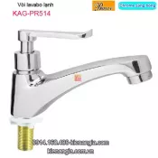 Vòi lavabo lạnh màu chrome sáng bóng Thailand-ProxiaKAG-PR514