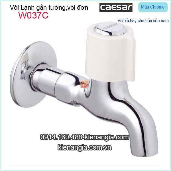 Vòi lạnh gắn tường Caesar-W037C