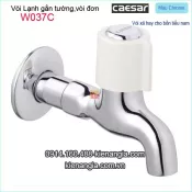 Vòi lạnh gắn tường Caesar-W037C