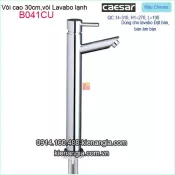 Vòi cao 30cm,vòi lạnh chậu lavabo ĐẶT BÀN Caesar-B041CU