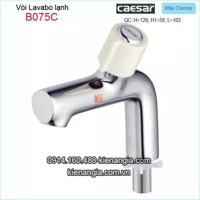Vòi lạnh chậu lavabo Caesar-B075C