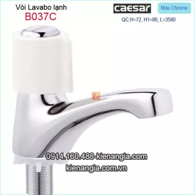Vòi lạnh chậu lavabo Caesar-B037C