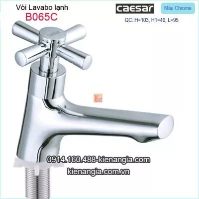 Vòi lạnh chậu lavabo tay thập Caesar-B065C