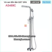 Vòi sen tắm Đặt sàn Caesar-AS489C
