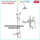 Sen tắm đứng nóng lạnh inox sus304 Thailand Prolax-KAG-PR8978