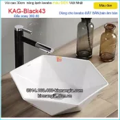 Vòi cao 30cm thân,đầu xoay 360 độ màu đen KAG-Black43