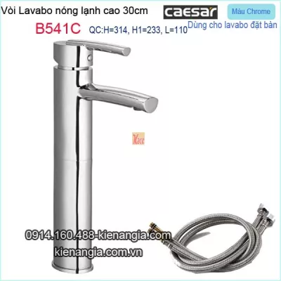 Vòi ống trúc cao 30cm lavabo đặt bàn nóng lạnh Caesar-B541C